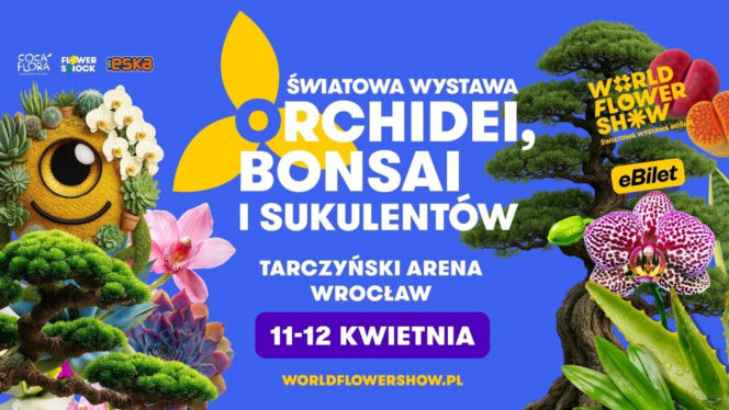 Festiwal Kwiatów – Kwiatowa Dżungla