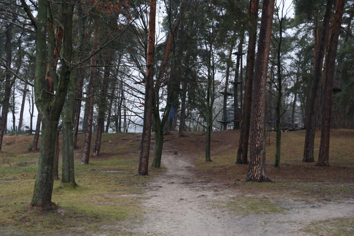 Zalew Zemborzycki pod koniec grudnia 2024