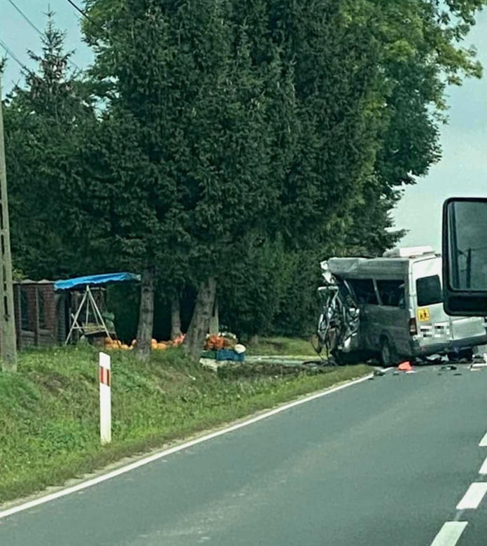 Dwaj kierowcy zginęli po zderzeniu busa z ciężarówką