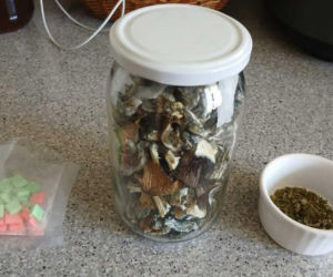 Kilogramy narkotyków i specjalistyczna uprawa