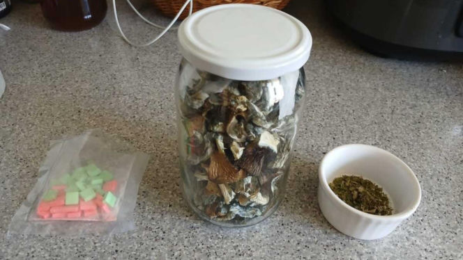 Kilogramy narkotyków i specjalistyczna uprawa