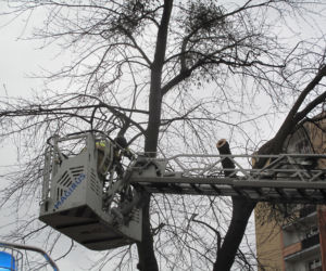 Wichura w Łódzkiem 17.02