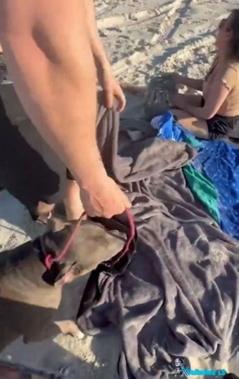 Żona złapała męża z kochanką na plaży! Wszystko się nagrało