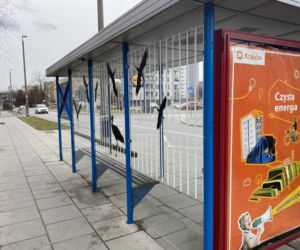 Problem z gilami na Prądniku Białym