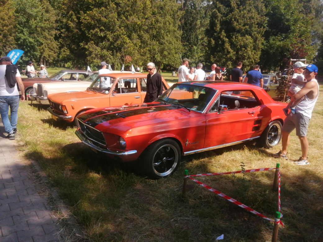 Siedlce:  16. Zlot Pojazdów Zabytkowych „Mrowisko”