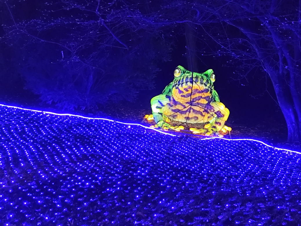 Park iluminacji w Lublinie