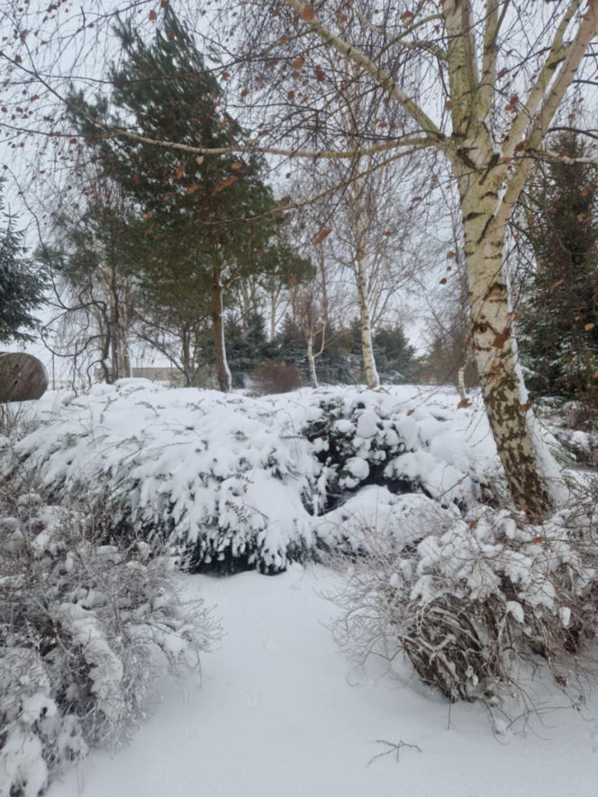 Atak zimy na wybrzeżu. Burze śnieżne, zasypane drogi i alerty IMGW