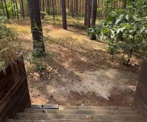 Julia Wieniawa woli las od tropików