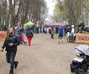 Festiwal Smaków Food Trucków w Olsztynie. Tłumy mieszkańców nad Ukielem [ZDJĘCIA]