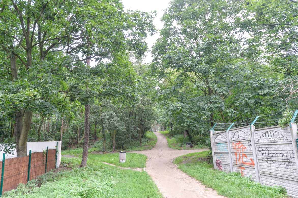 Proces Andrzeja G.