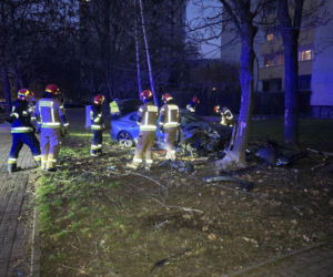 Wjechał na trawnik i uderzył w drzewo. Szokujący powód
