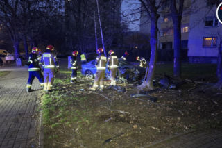 Wjechał na trawnik i uderzył w drzewo. Szokujący powód