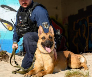 Nowy „funkcjonariusz” na czterech łapach zasilił szeregi policji w Lęborku