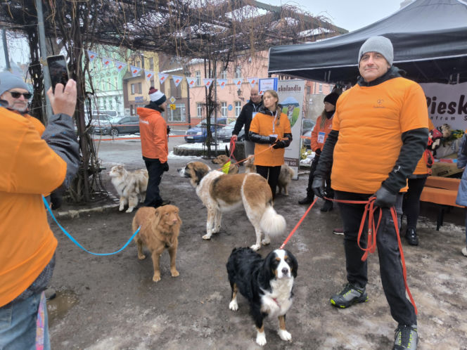 Spacer z pieskami w Lesznie