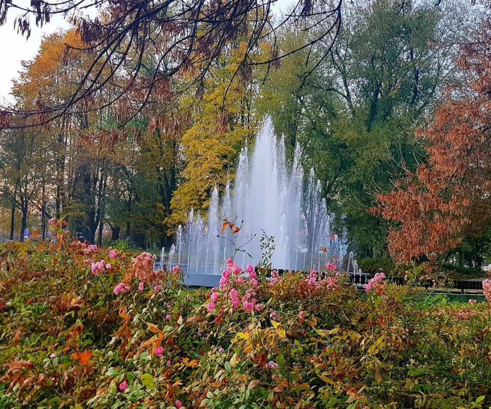 Jesień w Rzeszowie