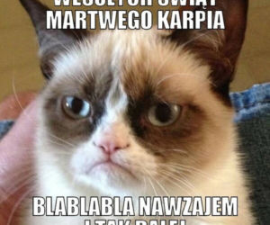 Boże Narodzenie 2021 - najlepsze świąteczne MEMY