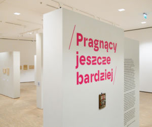 Wystawa Pragnący jeszcze bardziej w Muzeum Śląskim