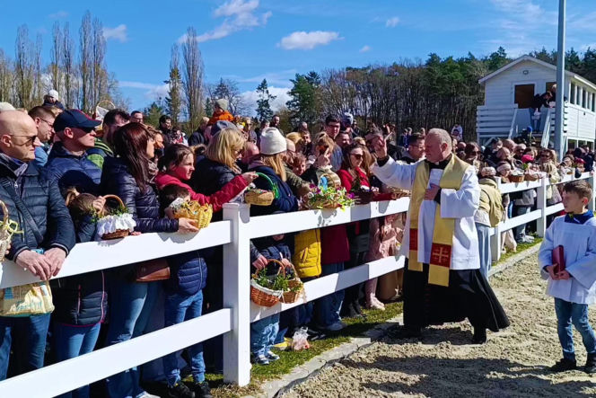 Konna święconka w Szczecinie