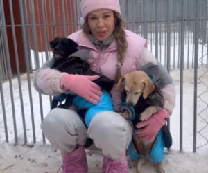 Doda ratuje psy przed mrozem