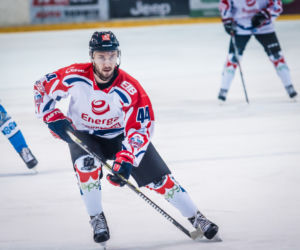 KH Energa Toruń - Unia Oświęcim 4:0, zdjęcia z meczu