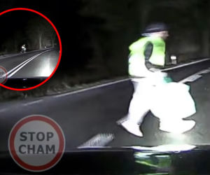 Wbiegł wprost przed maskę samochodu. Potem stało się coś nieoczekiwanego