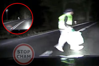 Wbiegł wprost przed maskę samochodu. Potem stało się coś nieoczekiwanego