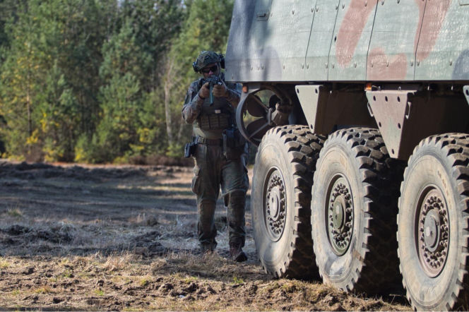 Ocena zmian w Wojsku Polskim. Polacy wystawili armii wysoką notę