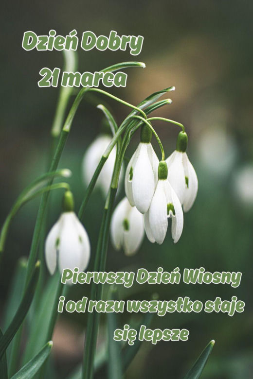 Kartki na pierwszy dzień wiosny 21 marca