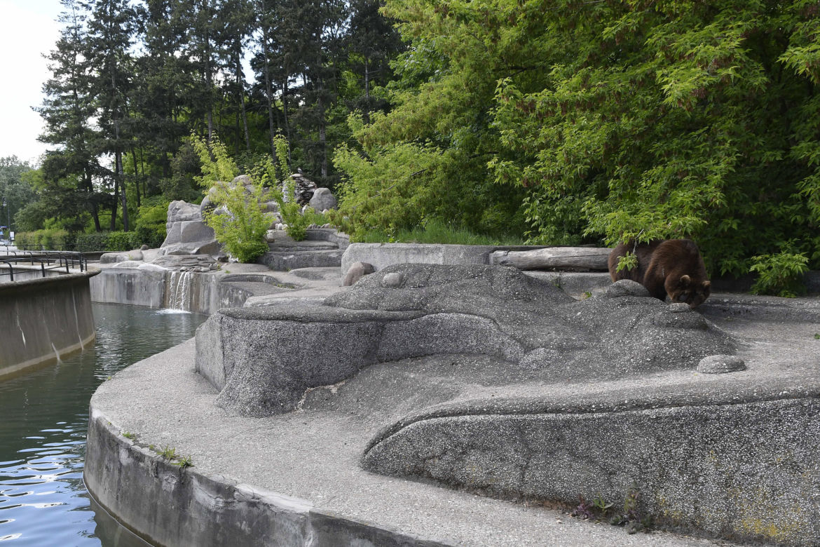 Warszawskie ZOO