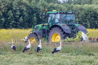 Koniec wojen rolników z sąsiadami? Rząd szykuje wielkie zmiany na wsi