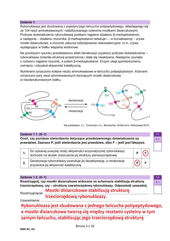 Matura 2025 biologia rozszerzona: ODPOWIEDZI do wszystkich zadań, gotowe rozwiązania matury z biologii rozszerzonej [9.05.2025]	