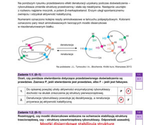 Matura 2026: biologia 8.05.2026. Gotowe odpowiedzi i ARKUSZE CKE z biologii 2026. Zobacz, czy zdałeś! [NOWA I STARA FORMUŁA]