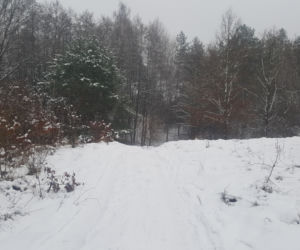 Zima na Górkach Fordońskich