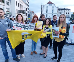 Opole. Protest w obronie dzieci z Michałowa [ZDJĘCIA]