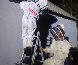 Zagrożenie zlikwidowane! Strażacy z Nowego Duninowa usunęli gniazdo szerszeni