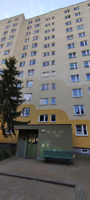 Spokojny syn i matka pozbijali się nawzajem. Sąsiedzi są w szoku i nie mogą w to uwierzyć.