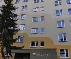 Spokojny syn i matka pozbijali się nawzajem. Sąsiedzi są w szoku i nie mogą w to uwierzyć.