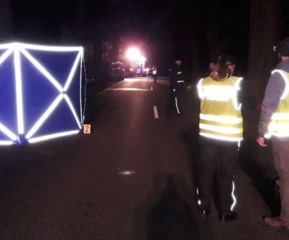 Makabryczny wypadek na prostej drodze. Zginęła prawie cała rodzina