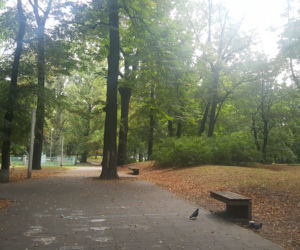Park Zamkowy i Promenada w Mysłowicach