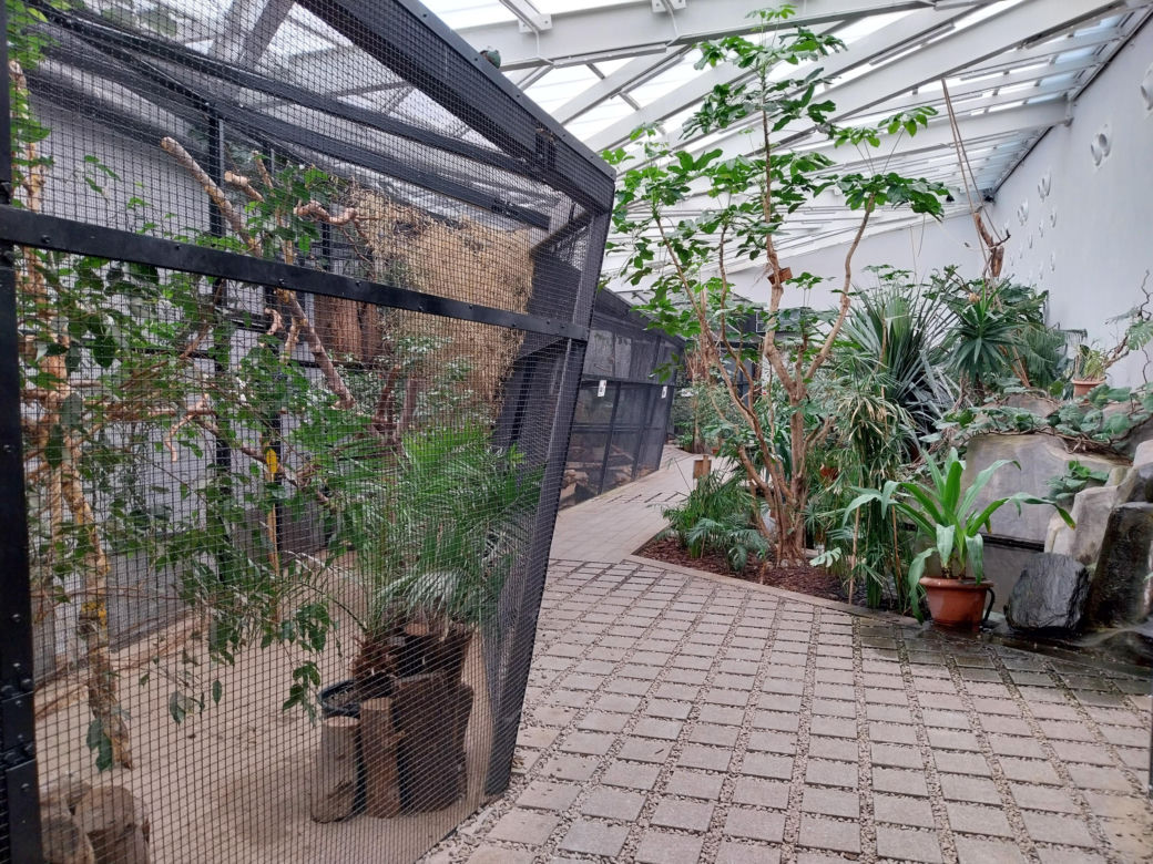 Wiosenny spacer w zamojskim zoo