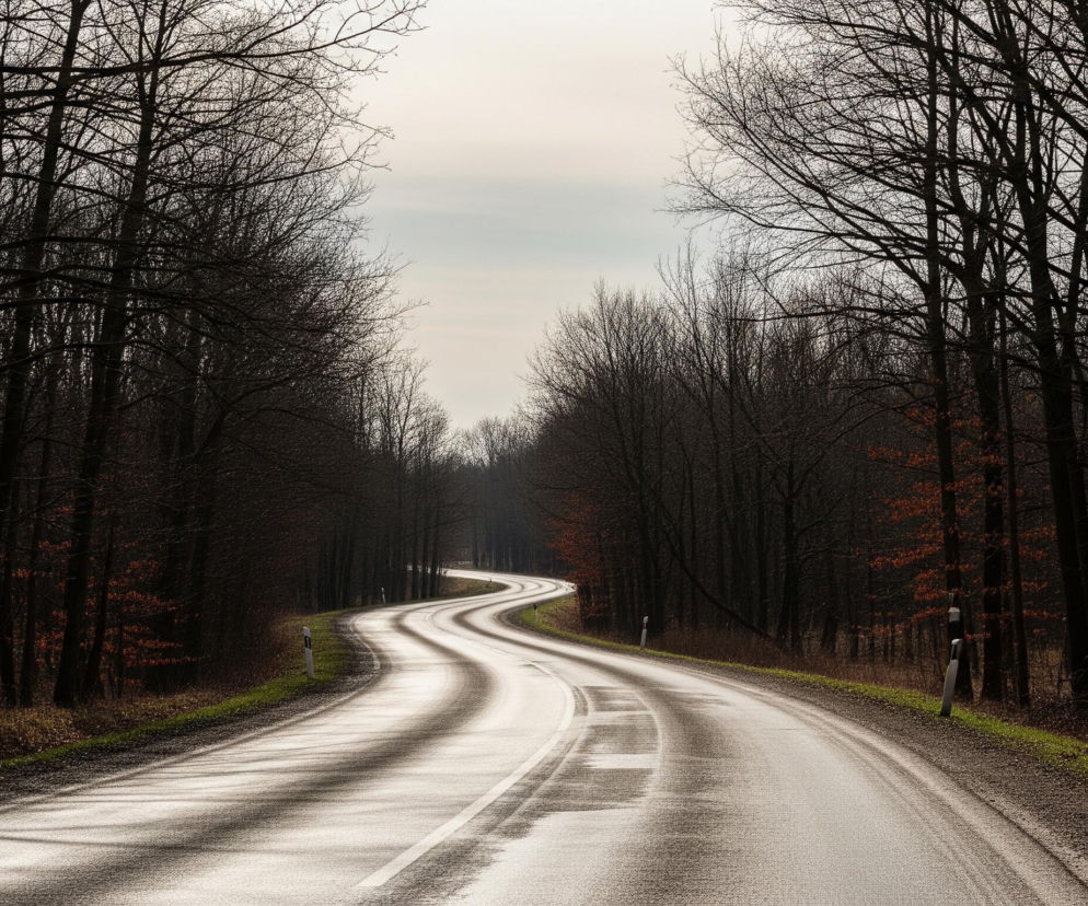 Pusta, kręta droga biegnie przez środek kadru, z ciemnym lasem po obu jej stronach. Nawierzchnia drogi jest wilgotna i błyszcząca, odbijając jasne, rozproszone światło z nieba, tworząc faliste smugi jasności. Las po lewej i prawej stronie składa się z nagich, ciemnych drzew bez liści, a na poboczu, między drzewami, widać pojedyncze, rude liście lub krzewy. Niebo nad drogą jest jasne, o jednolitym, szarawym odcieniu, jaśniejsze na środku i ciemniejące ku krawędziom kadru.