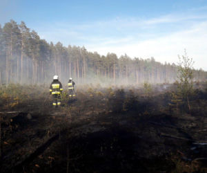 Spłonął las. Leśnicy apelują o rozsądek