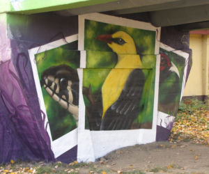 W rejonie Lisiej Góry w Rzeszowie powstał nowy mural. Jest piękny!