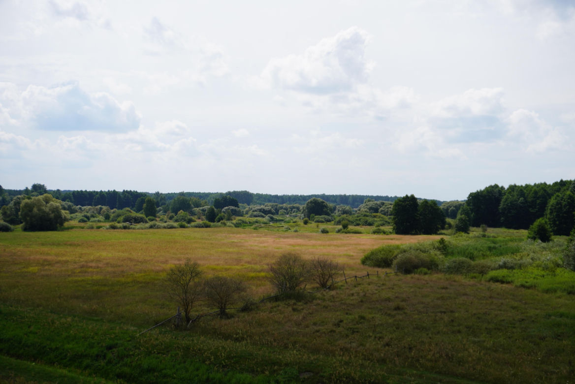 Podlaska Atlantyda, czyli Zalew Siemianówka i okolice