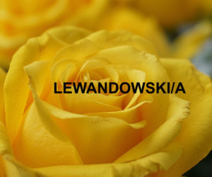 Najpopularniejsze nazwiska 2021 w Polsce. Które występują najczęściej? 