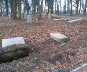 Wandale zniszczyli zabytkowy park