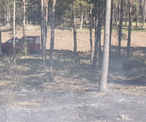 Pożar lasu pod Bydgoszczą! Z ogniem wlaczyło 6 zastępów straży pożarnej [ZDJĘCIA]