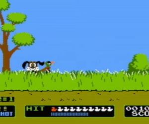 Duck Hunt