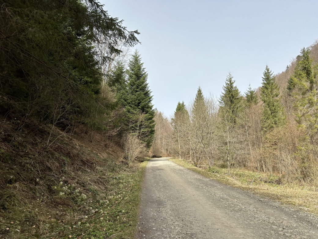 Ukryty szlak turystyczny pełen atrakcji. Nie każdy zna to miejsce w Małopolsce [GALERIA]