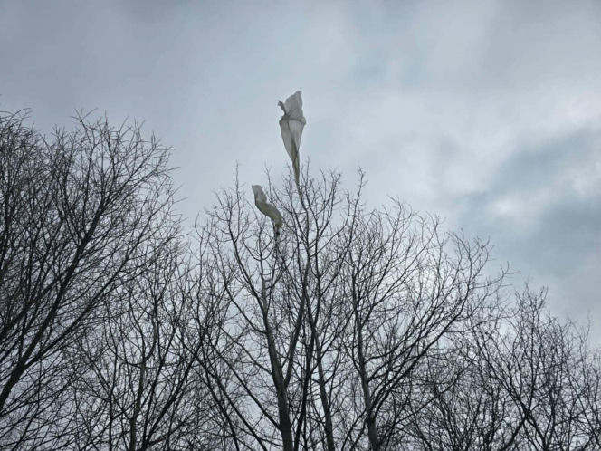 Kolejne balony spadły na Podlasiu